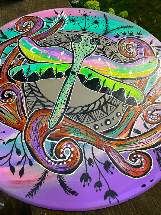 Dragonfly Dreams Handpainted Vinyl record