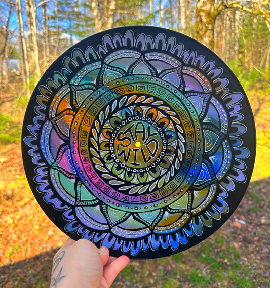 Stay Wild vinyl record