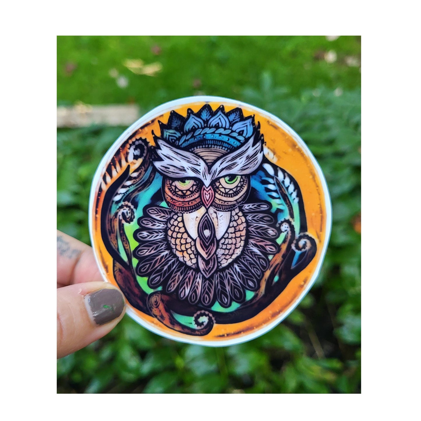 Owl Sticker